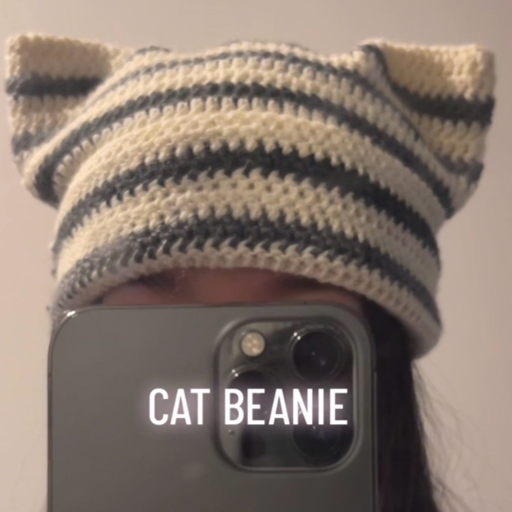 Handmade wool cat beanie